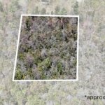 Aerial View/Approximate Lot Lines