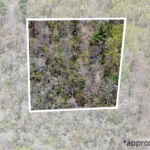 Aerial View/Approximate Lot Lines